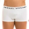 Boxer Modus Vivendi Seamless 09921