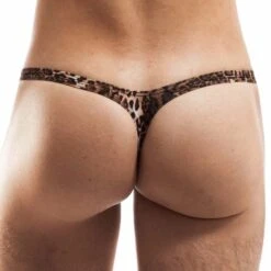 String Wojoer Brauner Leo SP3B15 -Emporio Armani Soldes Magasin String wojoer SP3B15 marron 3
