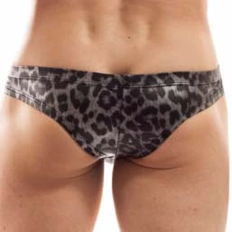 Tanga Wojoer Brauner Leo SP9T352 2 Tanga Wojoer Brauner Leo SP9T352 – Image 2