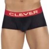 Boxer Clever Requirement 0420